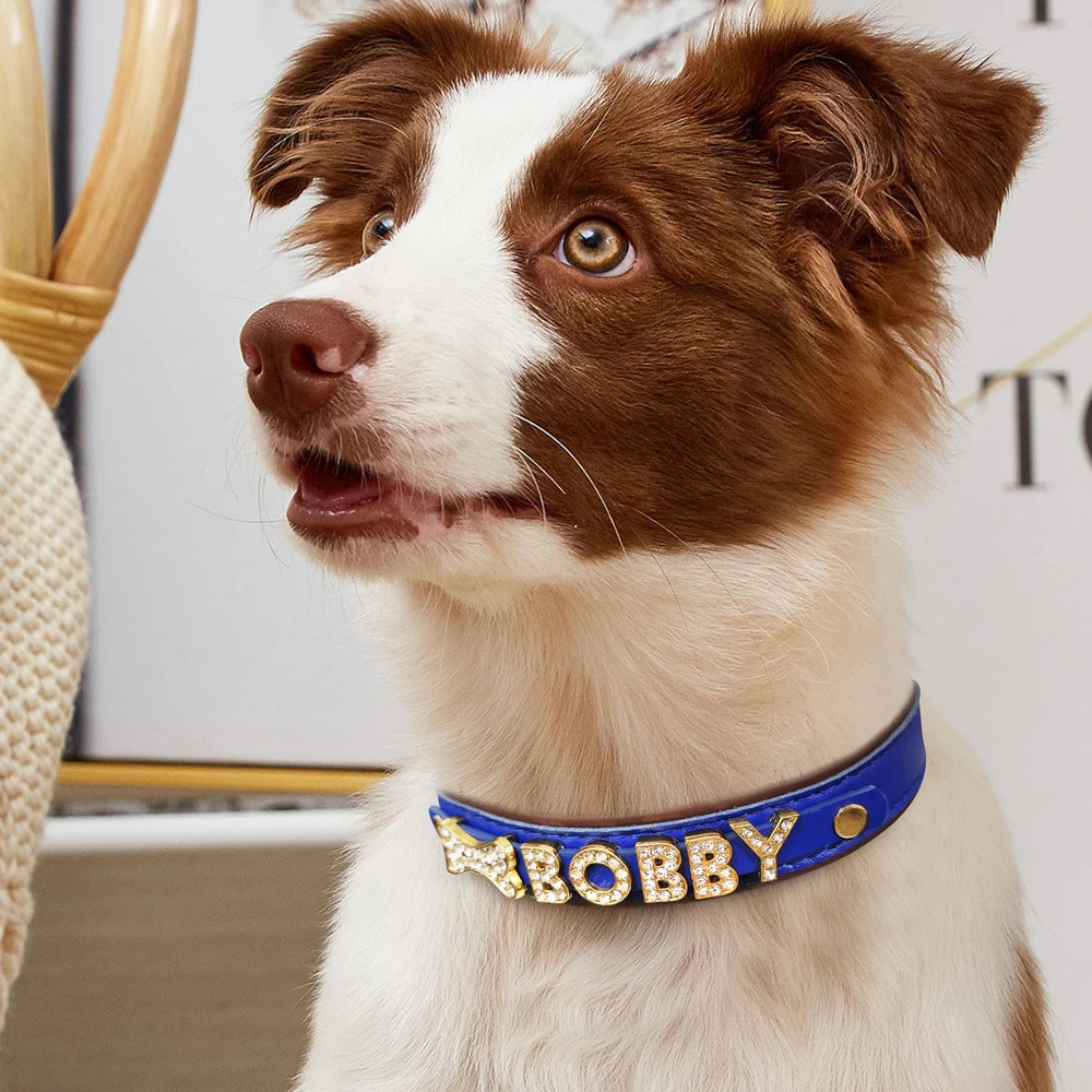 Precious Paw DIY Charm Collar