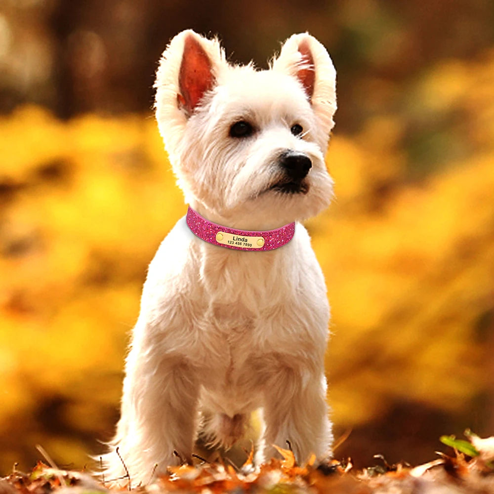 Little Paw Bling Boutique Collar