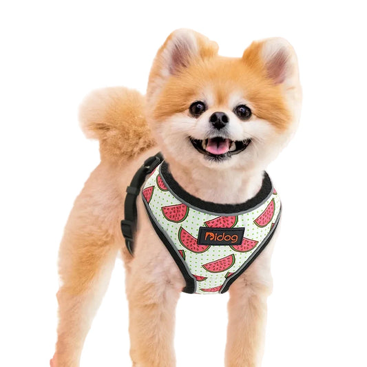 Radiant Paws Reflective Harness