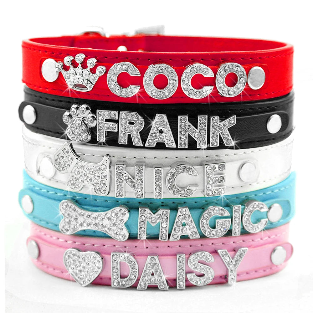 Precious Paw DIY Charm Collar