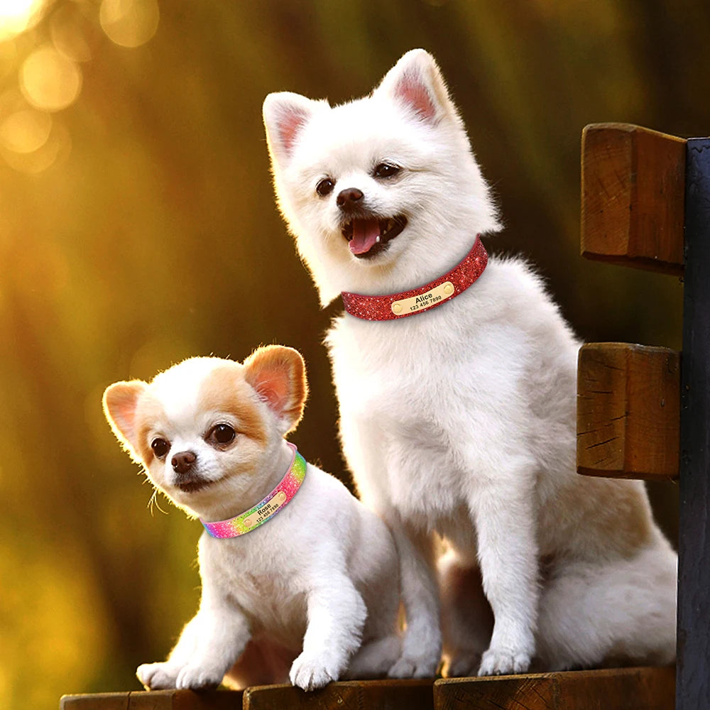 Little Paw Bling Boutique Collar