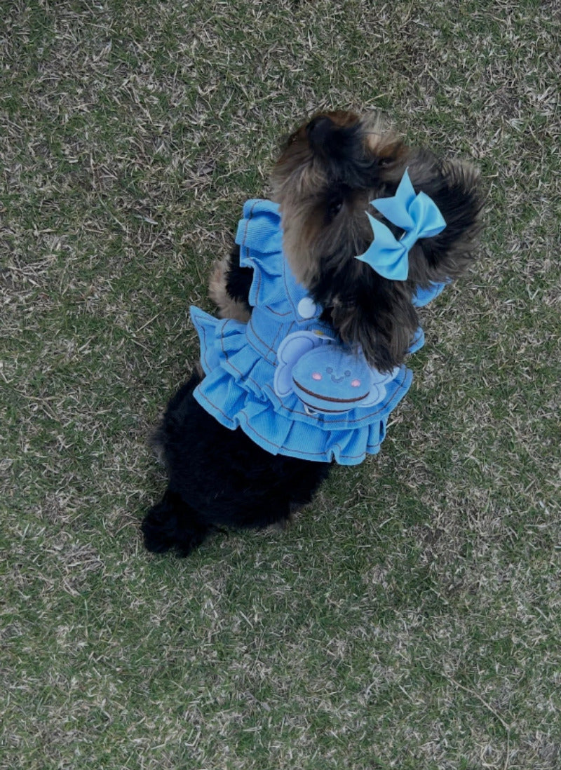 Bee Sweet Denim Harness Dress