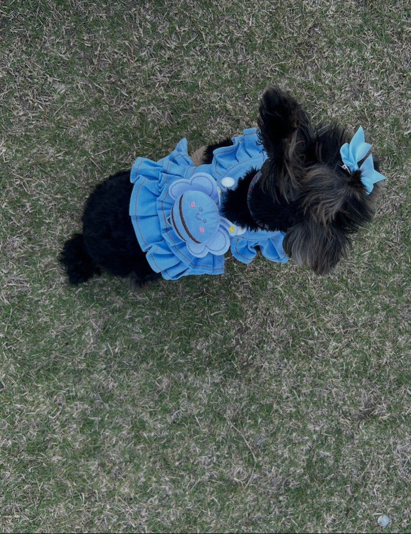 Bee Sweet Denim Harness Dress