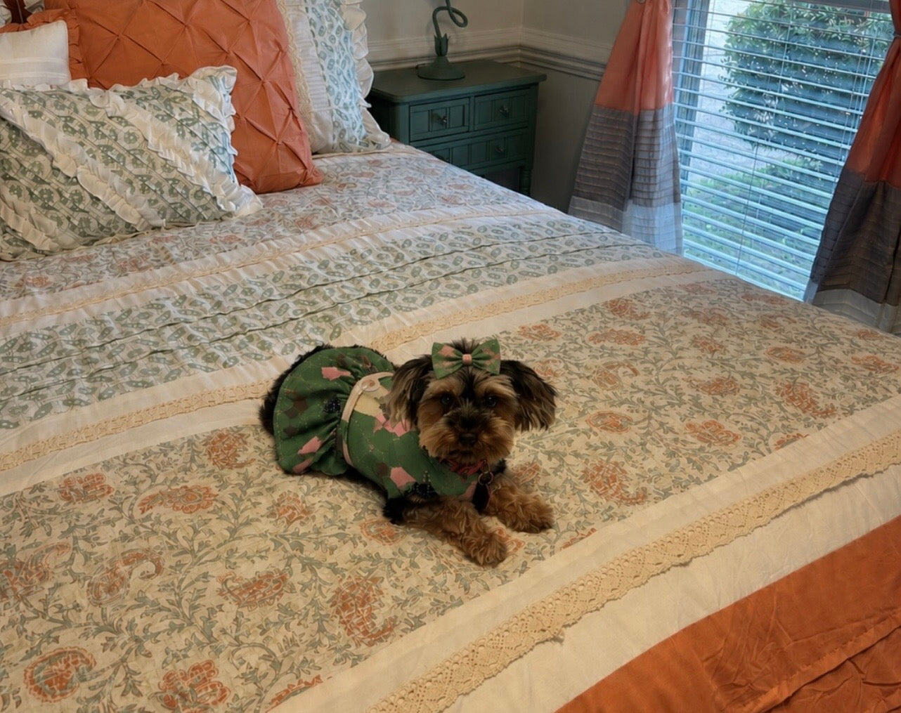 Pretty Paws Twirl Dress
