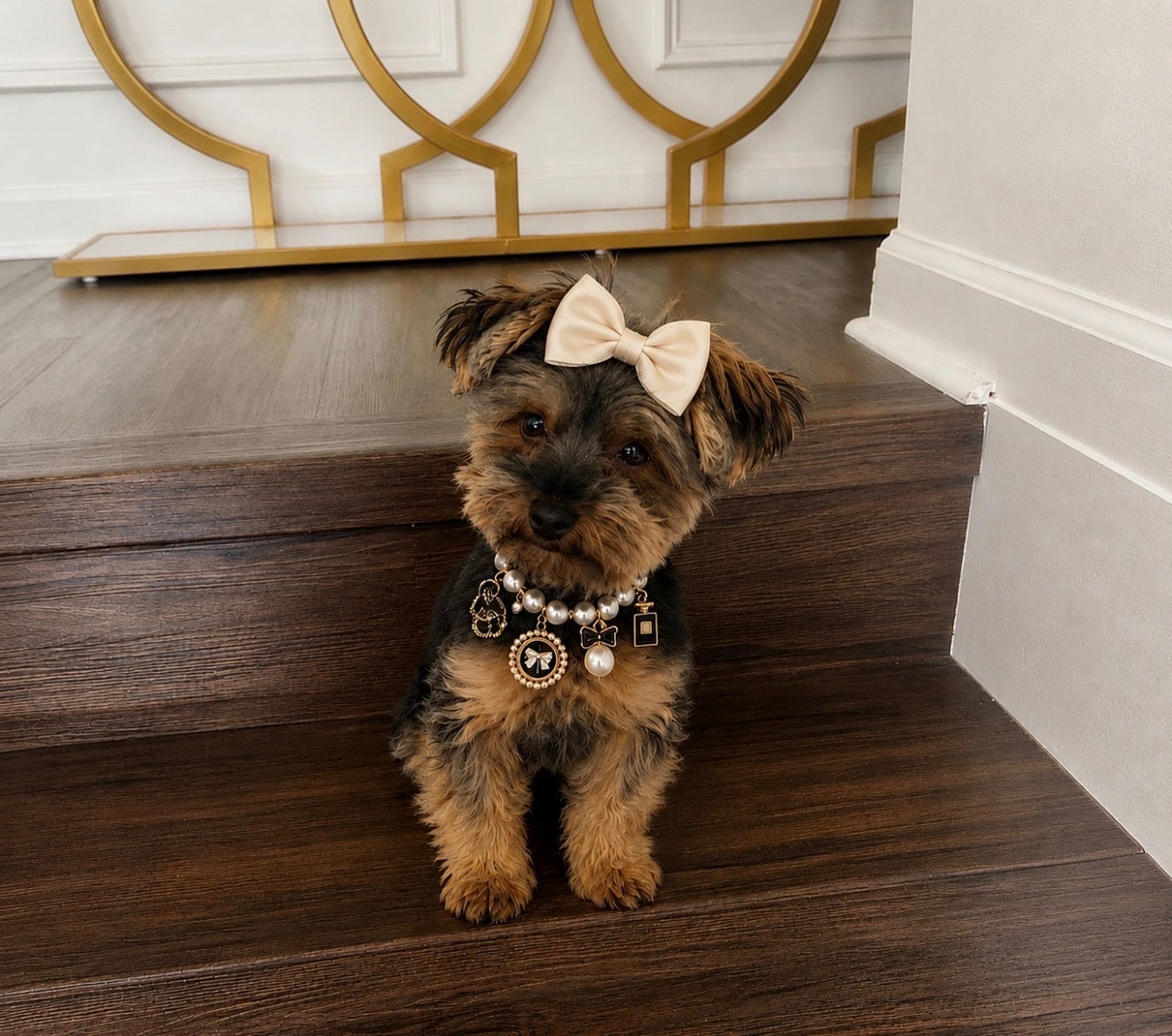 Little Paw Babies Royal Charm Collar