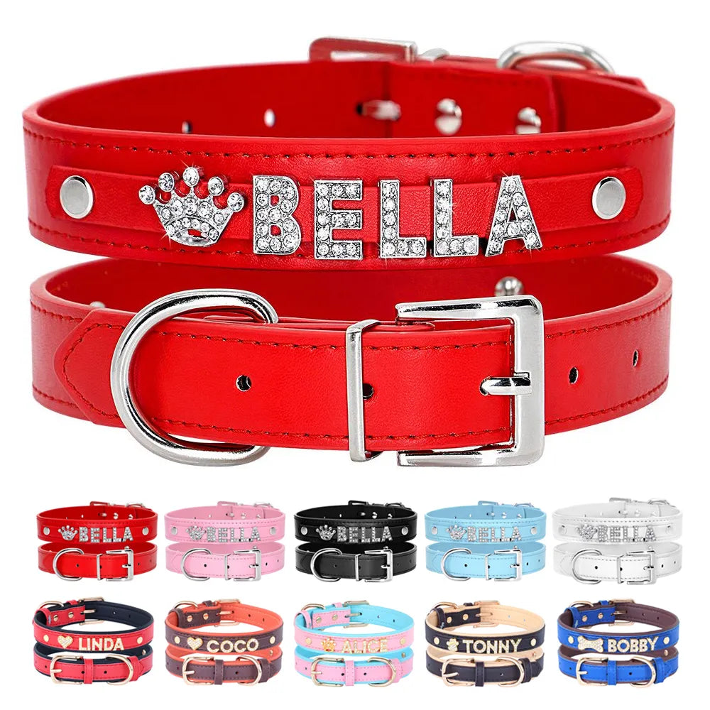 Precious Paw DIY Charm Collar
