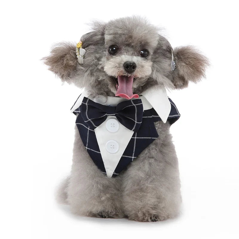 Dapper Paw Wedding Gentleman Suit