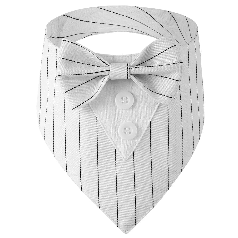 Classy Paw Bow Tie Bandana