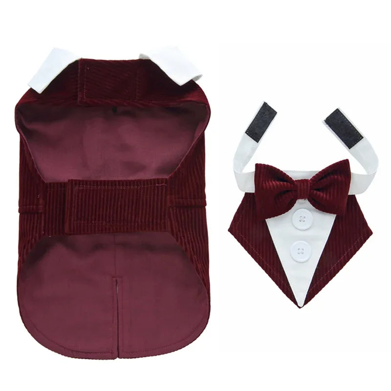 Dapper Paw Wedding Gentleman Suit