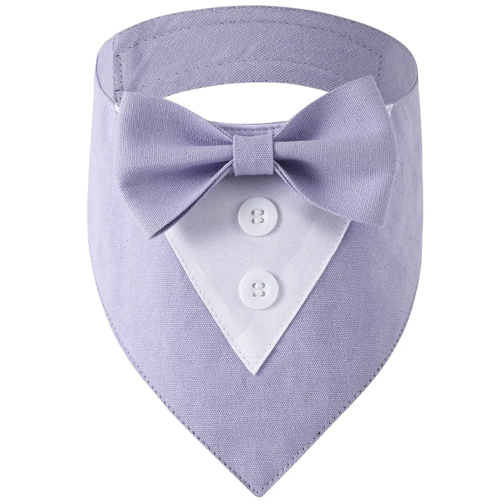Classy Paw Bow Tie Bandana
