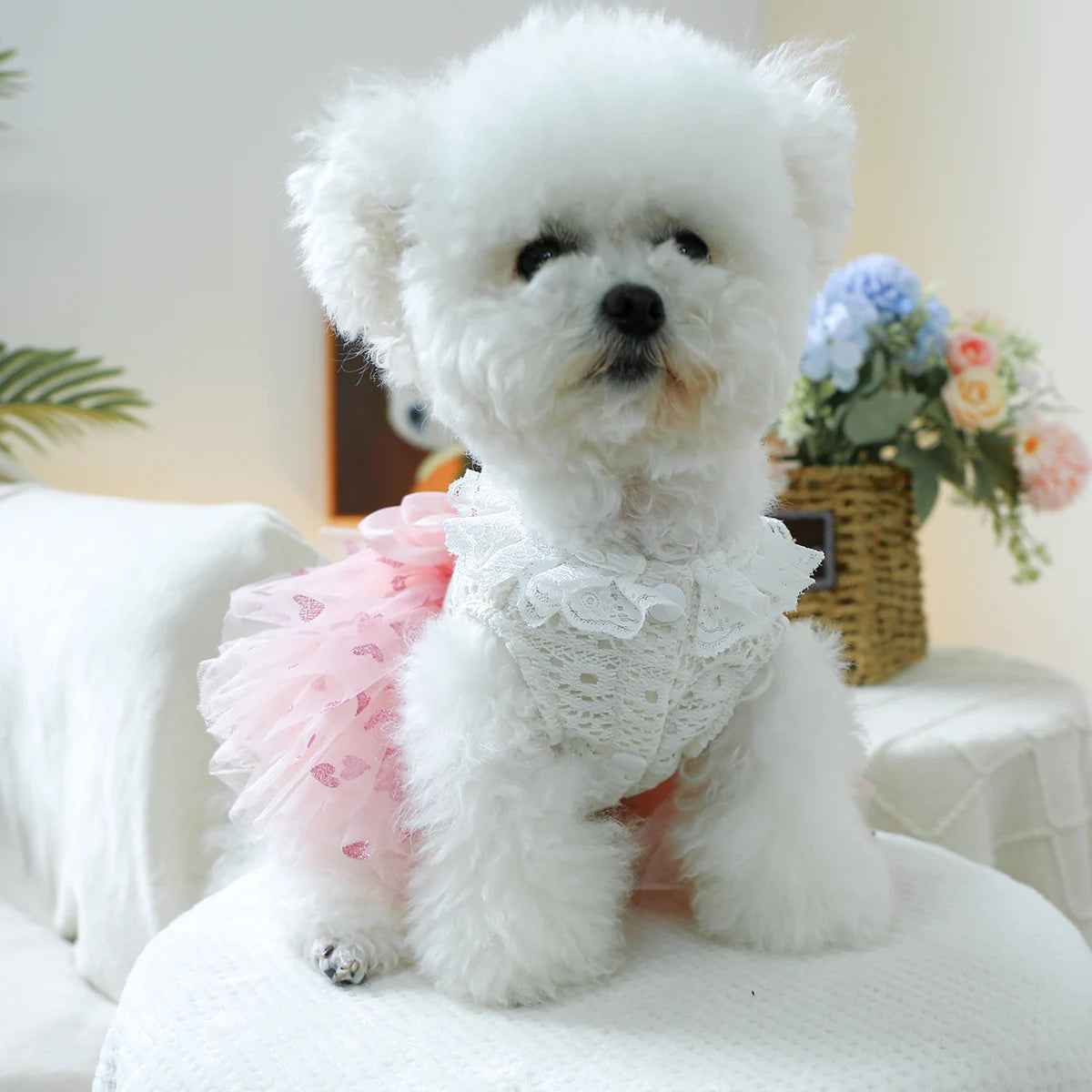 Little Paw Babies Elegant Pink Heart Dress