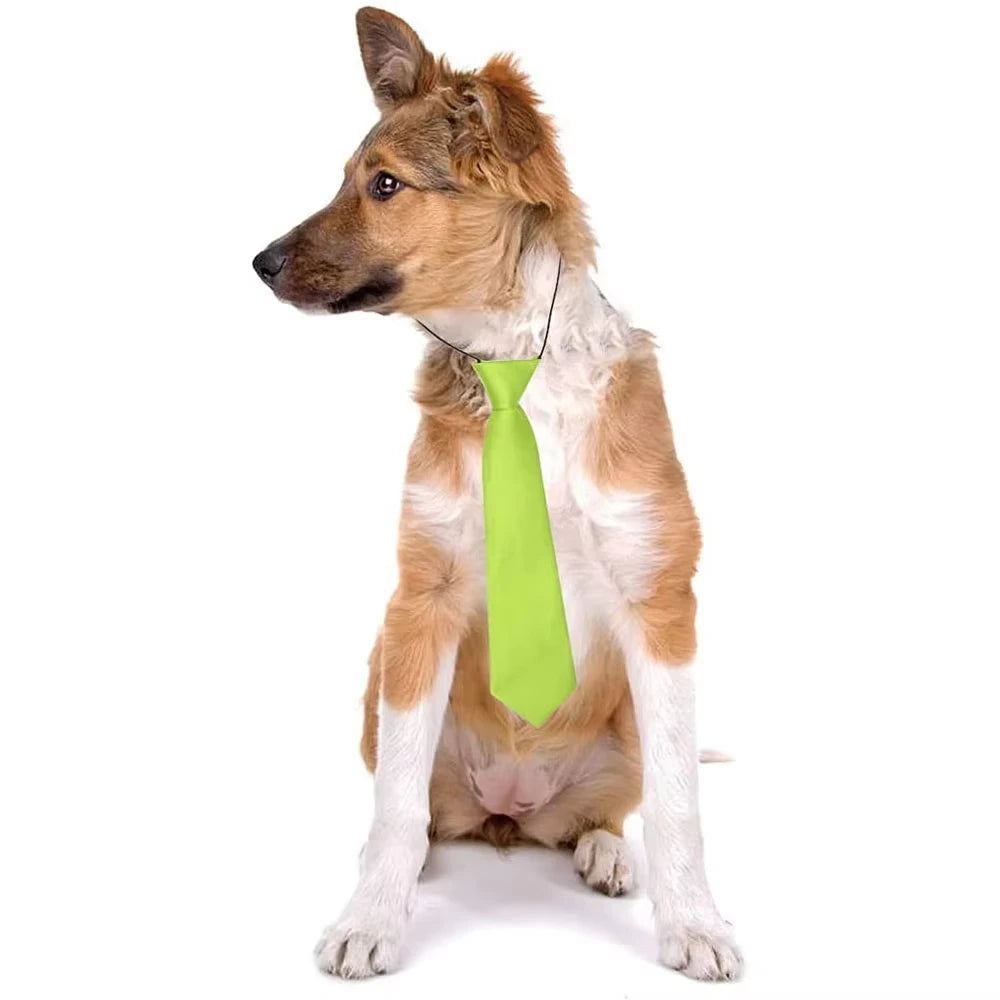 Little Paw Babies Dashing Dog Bow Tie Set