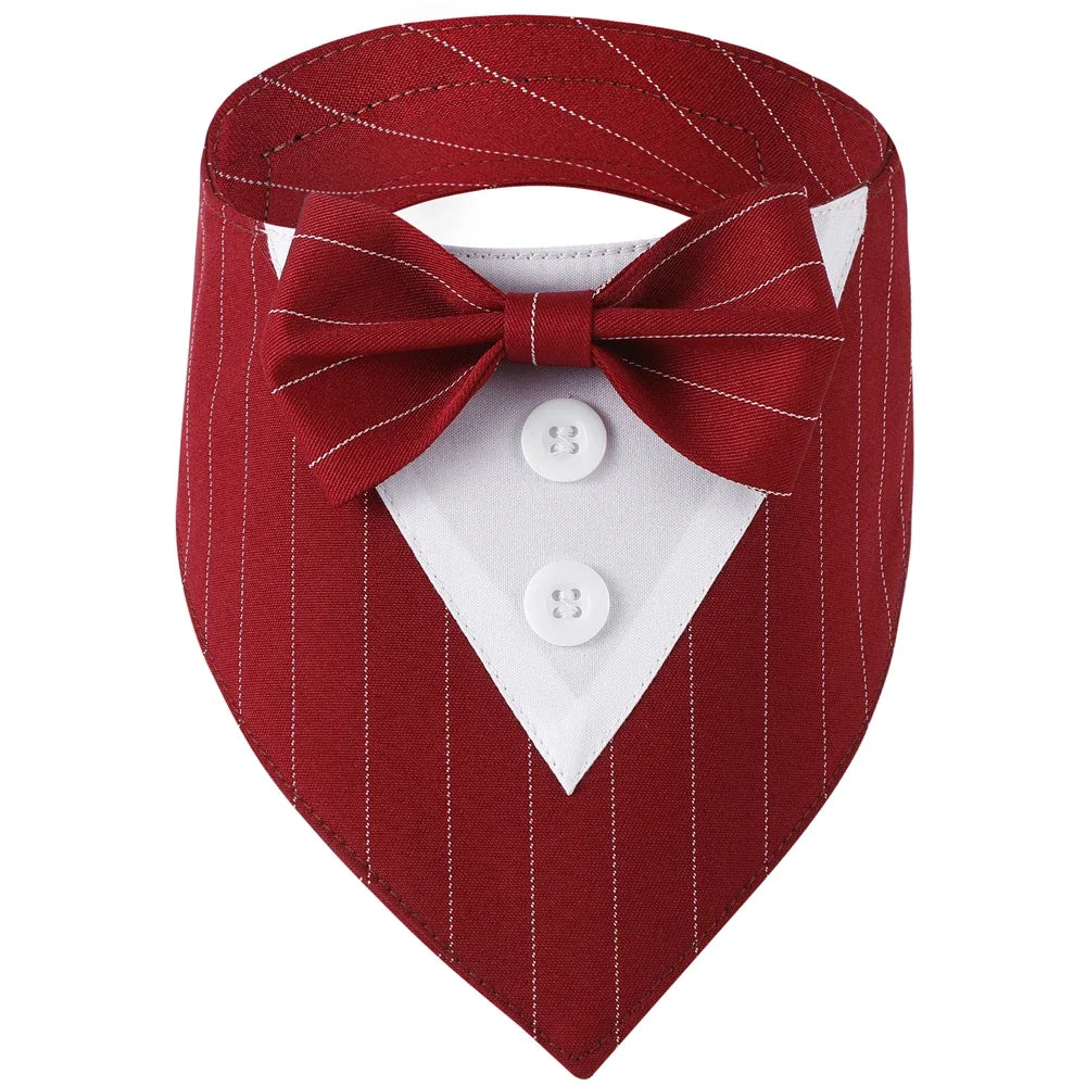 Classy Paw Bow Tie Bandana