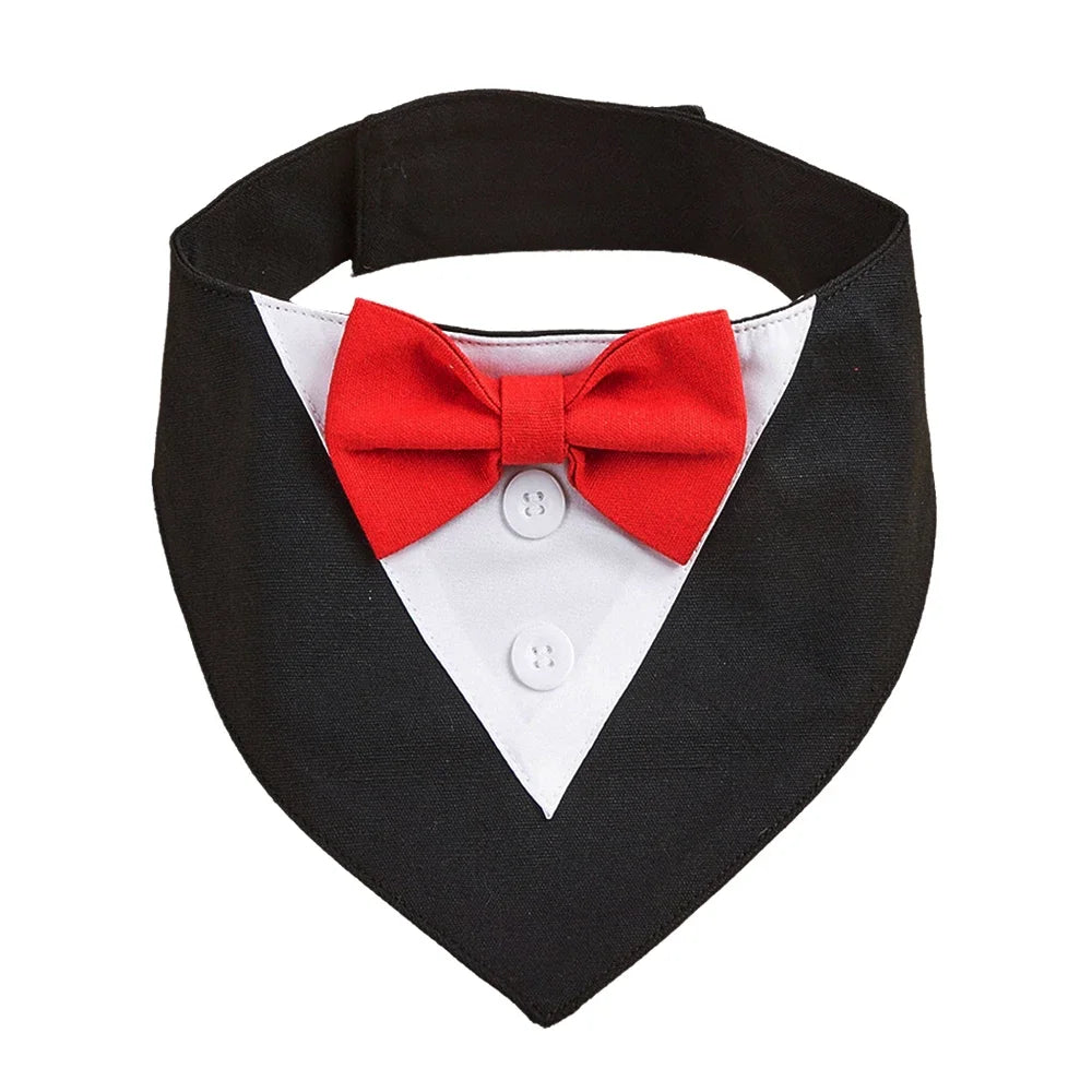 Classy Paw Bow Tie Bandana