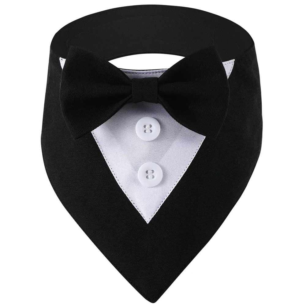 Classy Paw Bow Tie Bandana