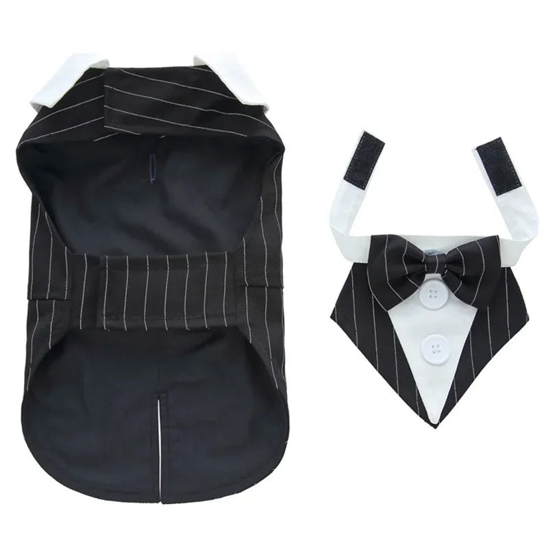 Dapper Paw Wedding Gentleman Suit