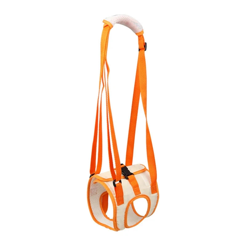 Canine Comfort Lift