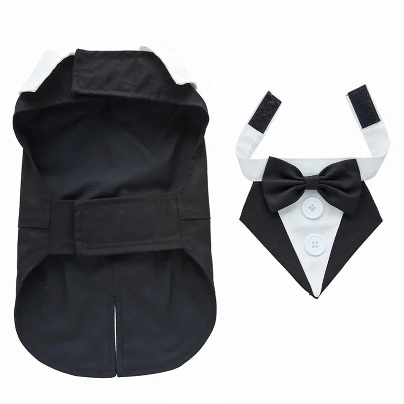Dapper Paw Wedding Gentleman Suit
