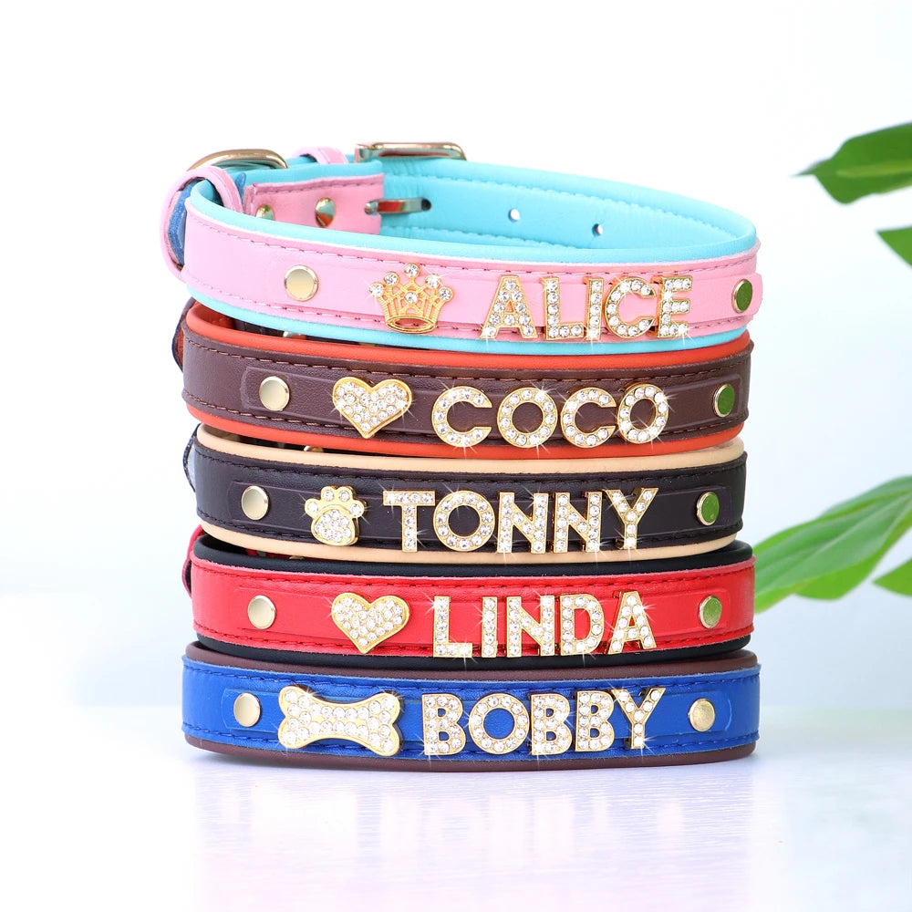 Precious Paw DIY Charm Collar
