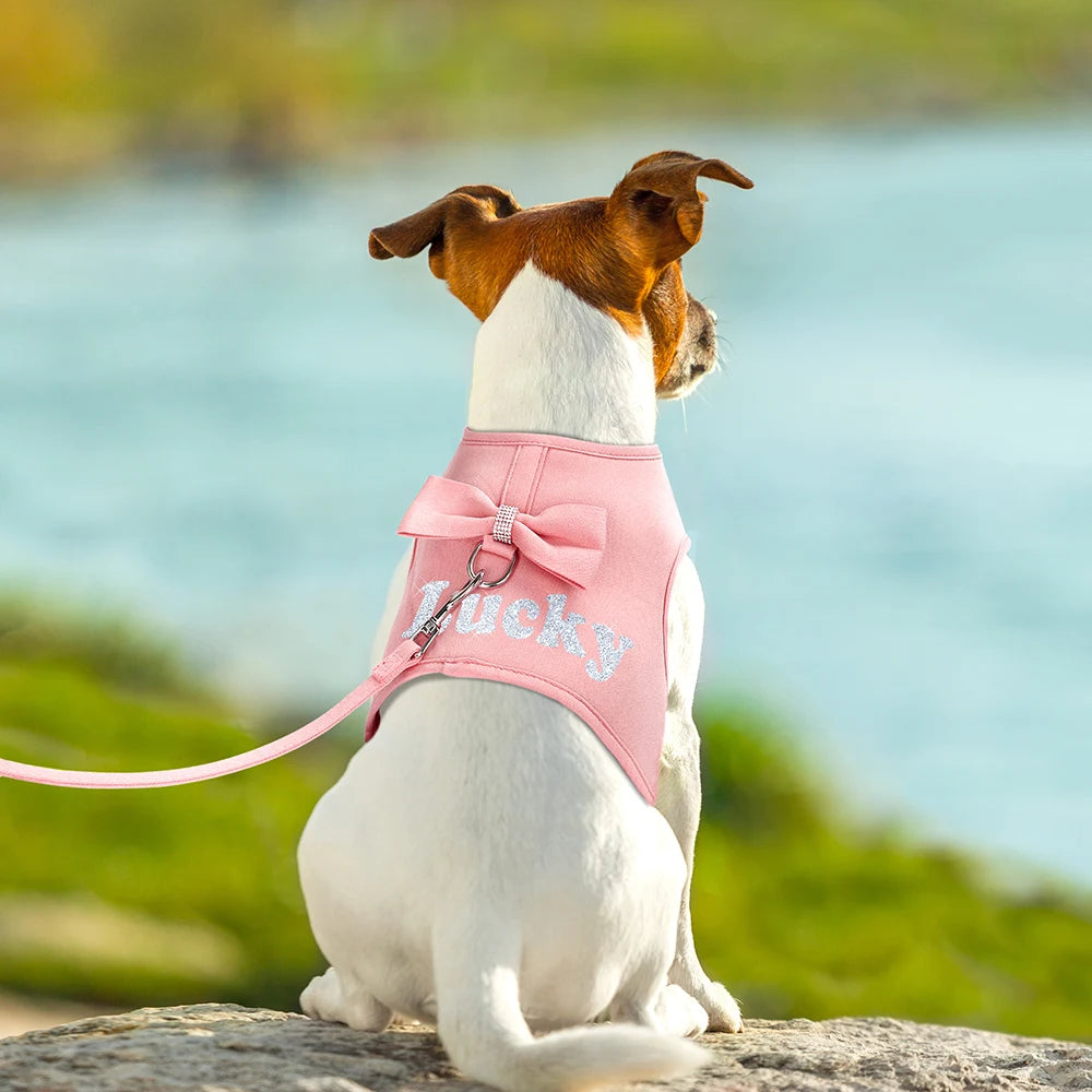 Bow Charm Personalize Harness Set