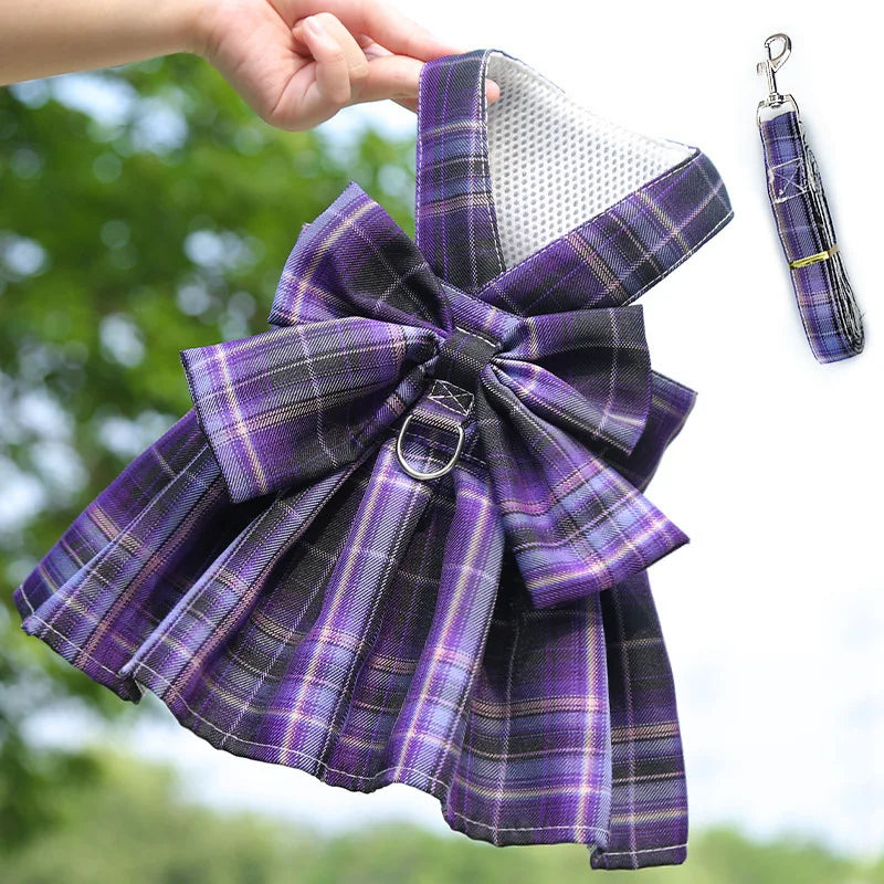 Little Charm Mesh Dress