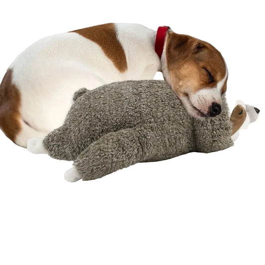 Cozy Sloth Heartbeat Buddy