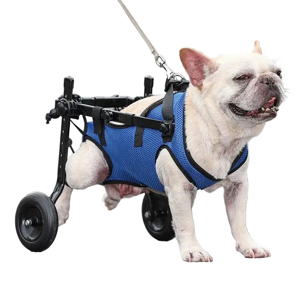 Happy Steps Mobility Aid
