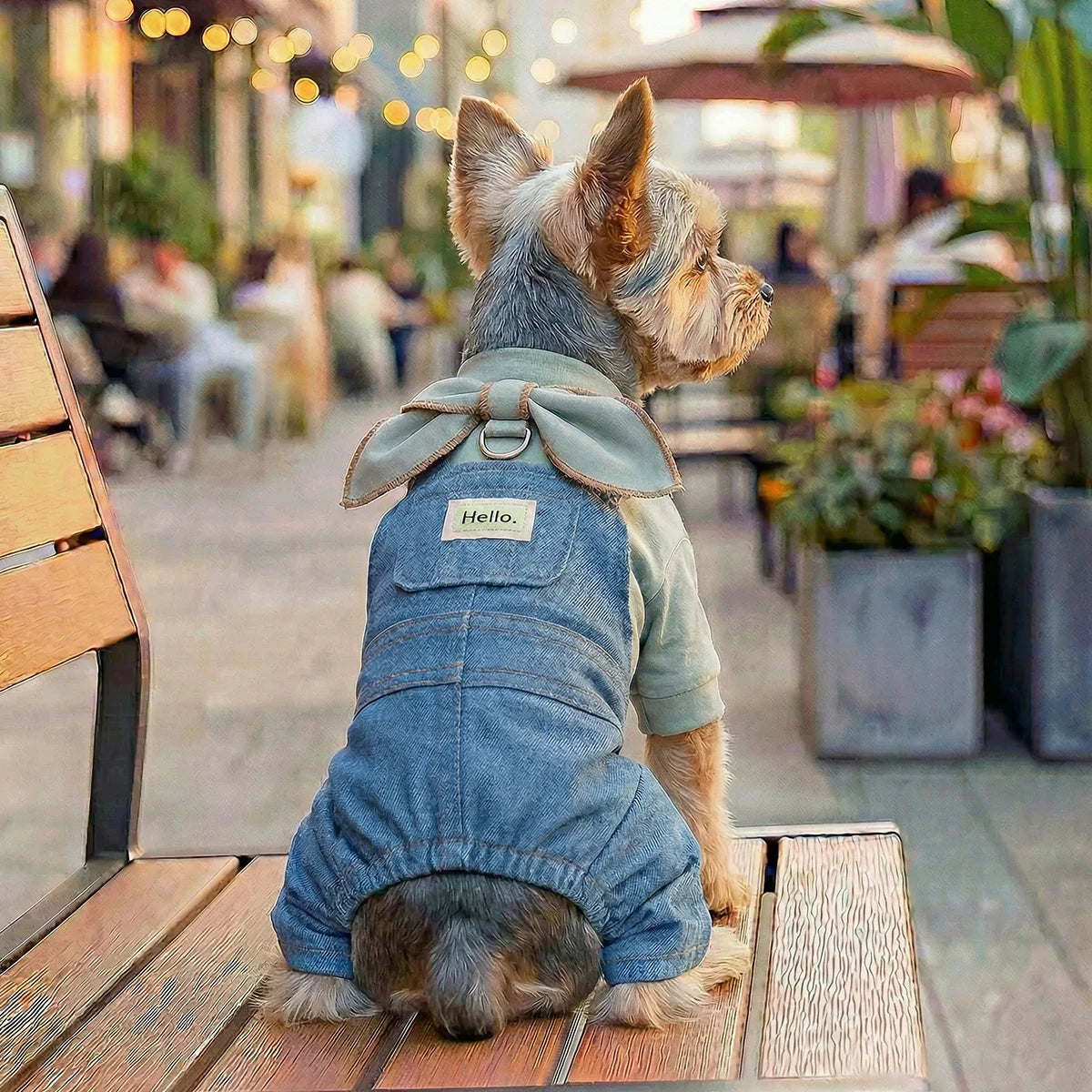 Little Gentleman Bow Collar Overalls
