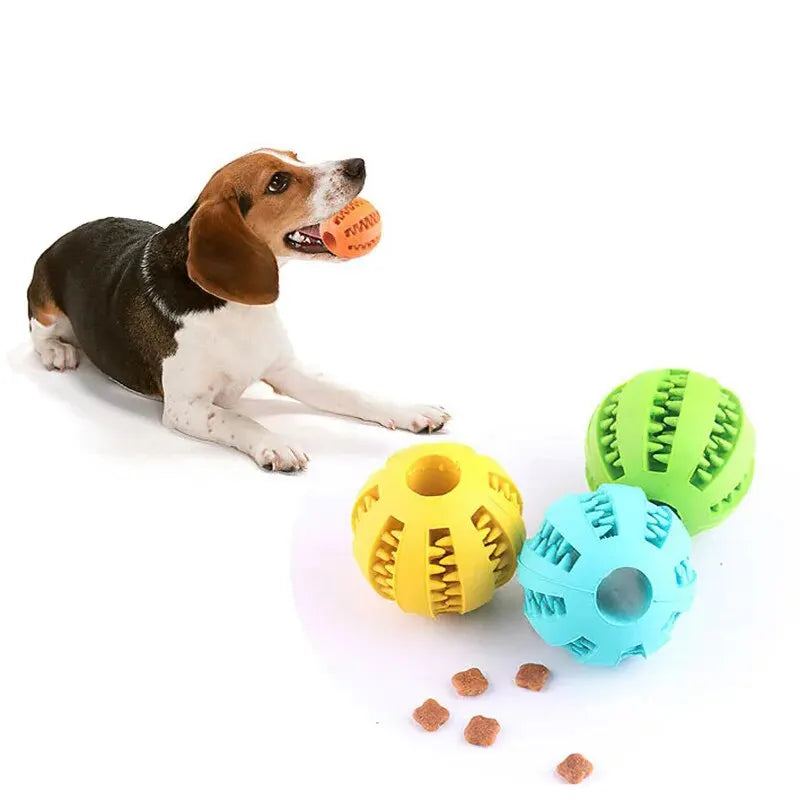 Little Paw Babies Chew & Chase Treat Ball