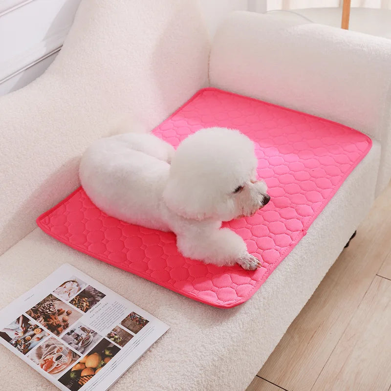 Snuggle Dry Puppy Pad