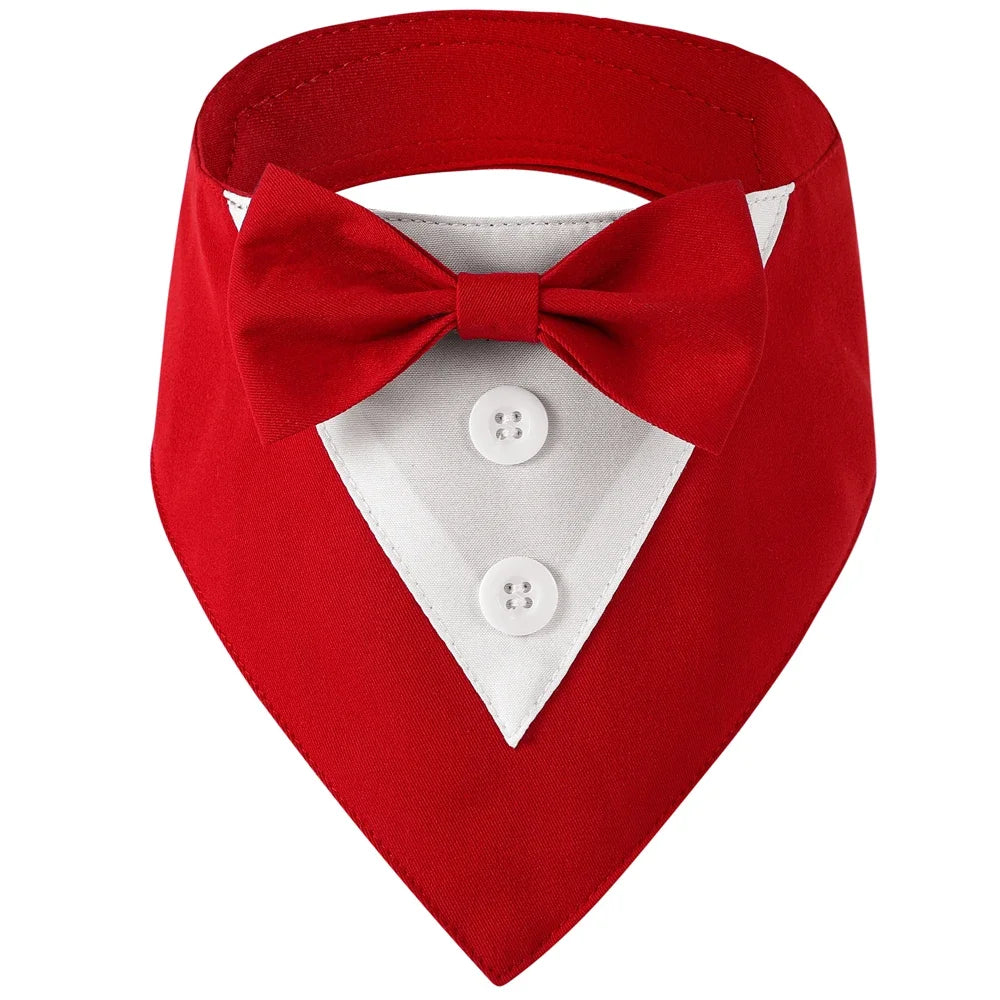 Classy Paw Bow Tie Bandana