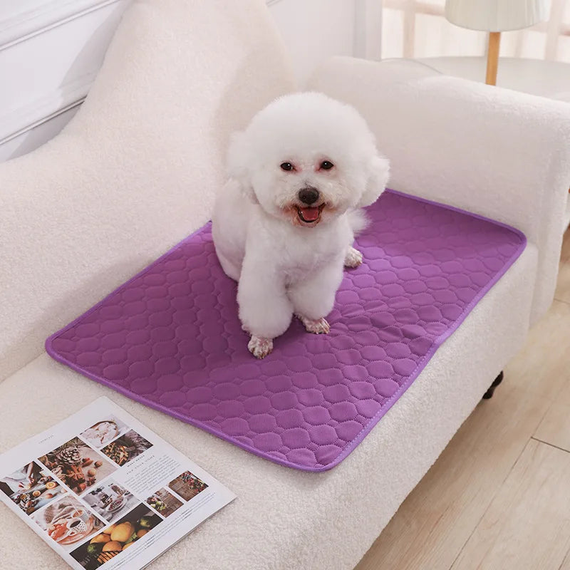 Snuggle Dry Puppy Pad