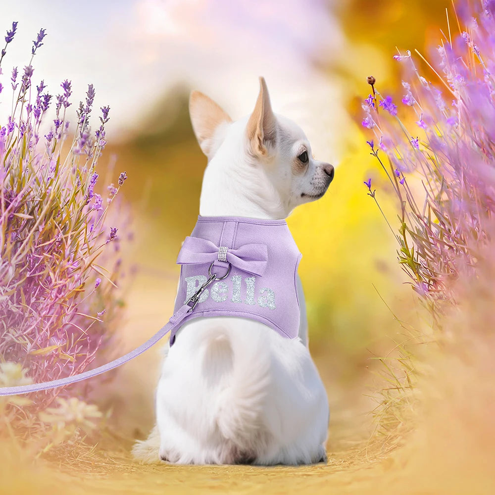 Bow Charm Personalize Harness Set