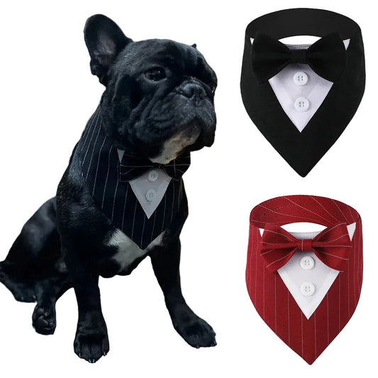 Classy Paw Bow Tie Bandana