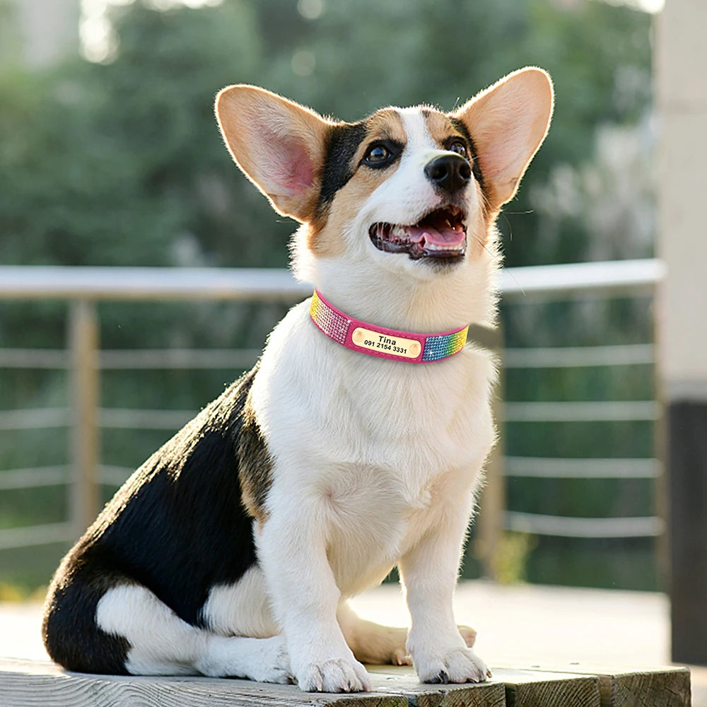 Little Paw Bling Boutique Collar
