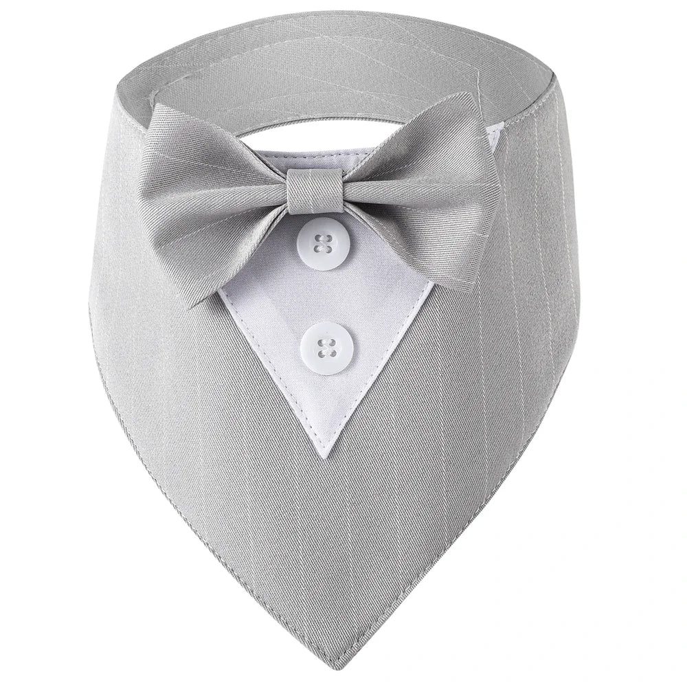 Classy Paw Bow Tie Bandana