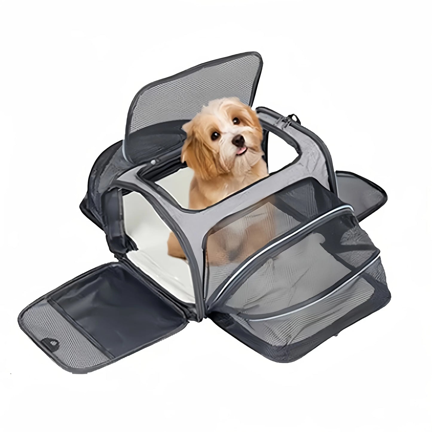 Paw Room Expandable Carrier